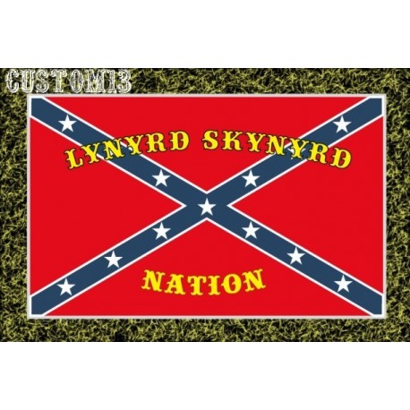 vinilo Skynyrd nation