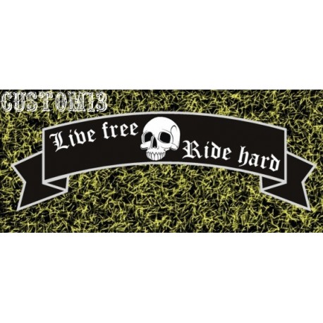 vinilo live free ride hard