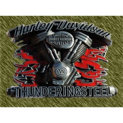 Hebilla Harley Thundering steel