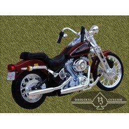 Harley Springer softail