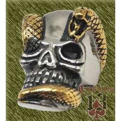 Anillo de acero, calavera serpiente dorada