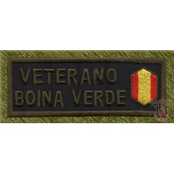 parche bordado, stick veterano boina verde, borde verde