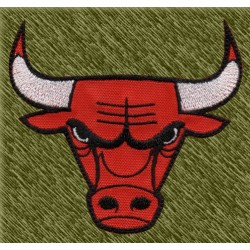 Parche bordado NBA, bulls