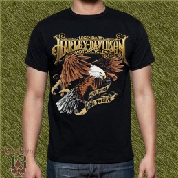 Camiseta harley davidson, live to ride, ride to live