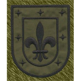 Parche Bordado Escudo Flor de Lis – Heráldico / Scout